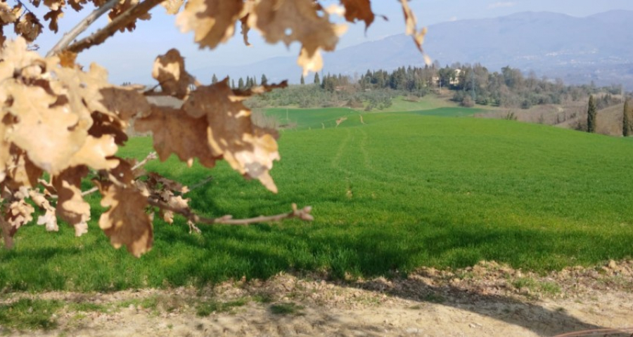 Riapriamo la porta del cielo