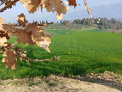 Riapriamo la porta del cielo