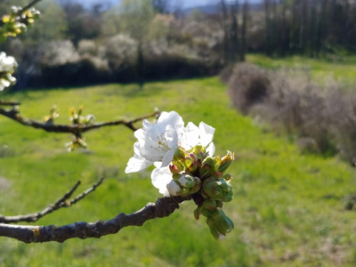 ﻿La règle du maillon faible