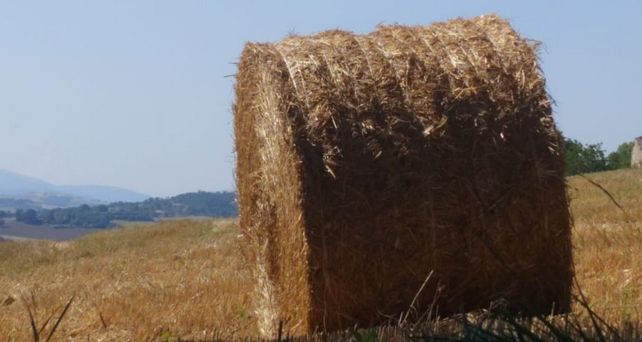 L’unica virtù necessaria