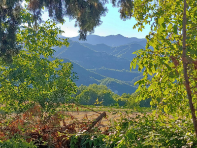 É Deus; por isso, assemelha-se a mim