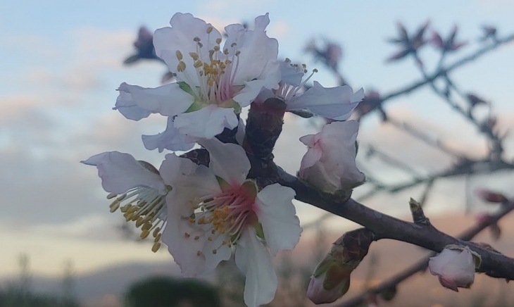 Shabbat rinasce negli esili