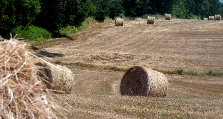 La civilisation et l'art de l'attente