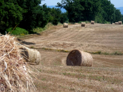 La civilisation et l'art de l'attente