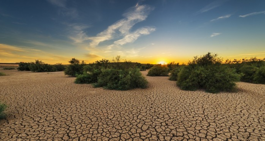 La sfida dell'antropocene: estendere la reciprocità alla terra profanata