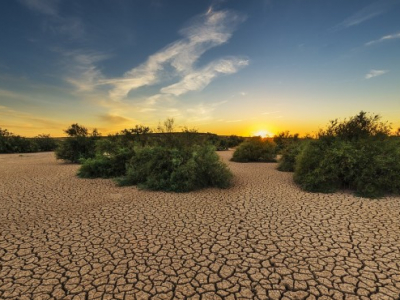 La sfida dell'antropocene: estendere la reciprocità alla terra profanata