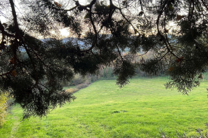 Il valore dei doni e dei condoni
