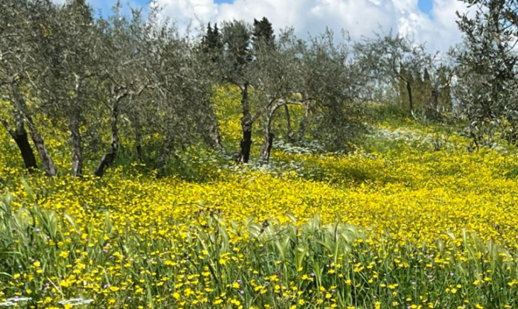 Cirenei di una croce troppo pesante