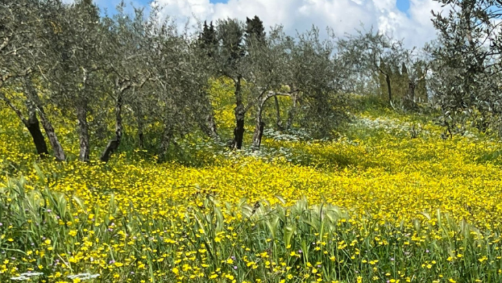 Cirenei di una croce troppo pesante