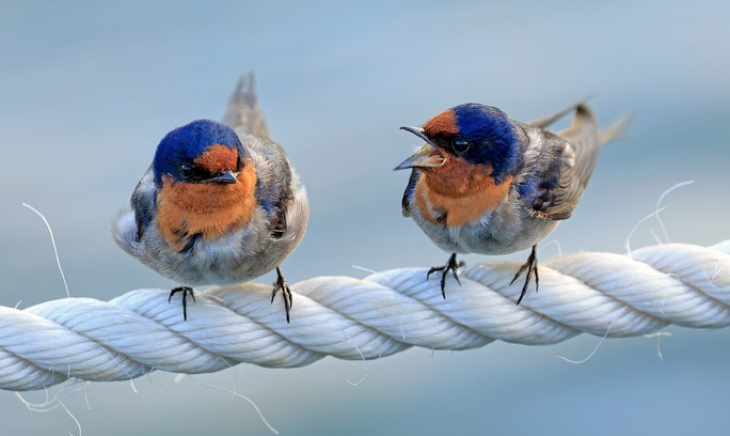 Caring for conflicts