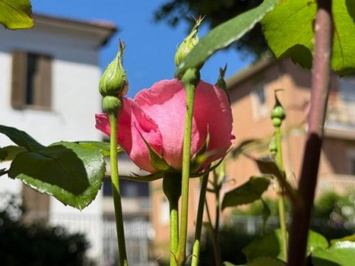 È l’ora di liberare il nostro cuore dalla schiavitù di volerci perfetti