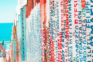 La passione e gli interessi