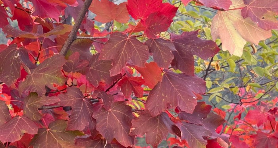 Not just Eros: love is responsible freedom