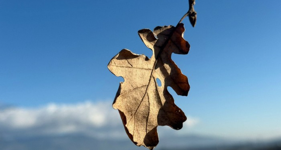 Vivi e immersi in questo tempo