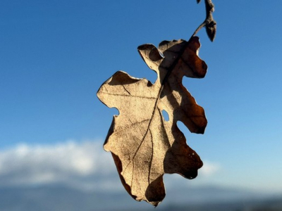 The duty to immerse ourselves in our time