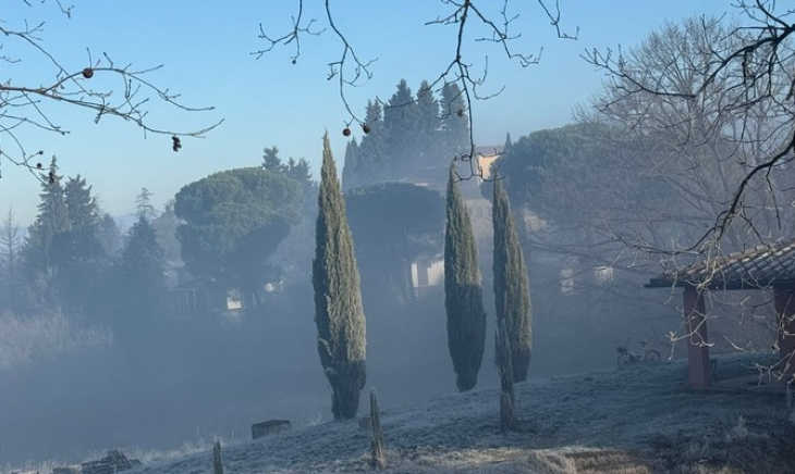 Freedom in the gratuitousness of those three wise men who came from the East