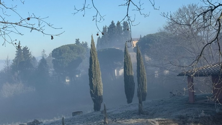 Freedom in the gratuitousness of those three wise men who came from the East