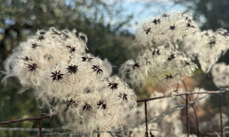 Una Chiesa che entra nella Storia. Tra giustizia sociale e sussidiarietà