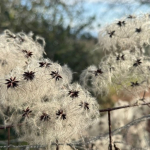 Una Chiesa che entra nella Storia. Tra giustizia sociale e sussidiarietà