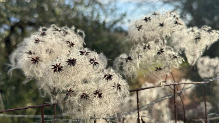 Una Iglesia que entra en la Historia. Entre justicia social y subsidiariedad