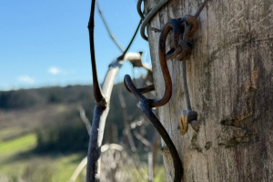 Il sangue dell’Europa che cambiò lo sguardo della Chiesa sul sociale