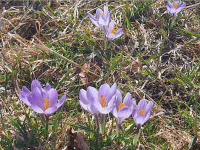 The Council, a “resurrection.” And the world is no longer an enemy