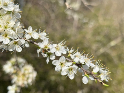 La svolta del Concilio Vaticano II, una Chiesa che si apre al mondo