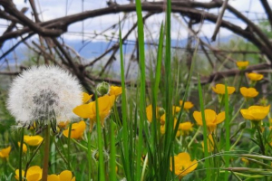 La guerra non ridiventa giusta