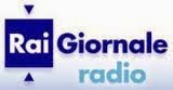 Logo GR Rai
