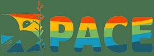 Logo Romena PACE rid