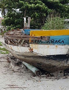 Spiaggia Recife 01 rid